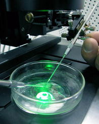 2021年中國生物技術(shù)開發(fā) 創(chuàng)新驅(qū)動與產(chǎn)業(yè)升級的新篇章